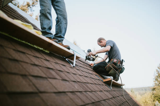 Best Roof Gutter Cleaning  in Mcewen, TN