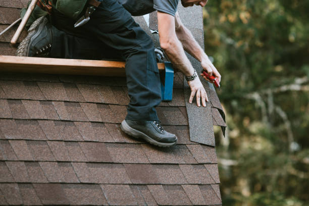 Best Roof Maintenance Services  in Mcewen, TN
